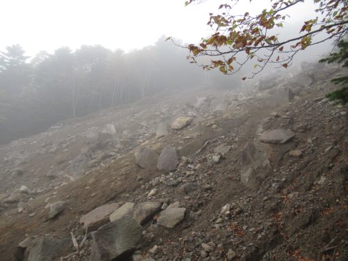 登山道脇